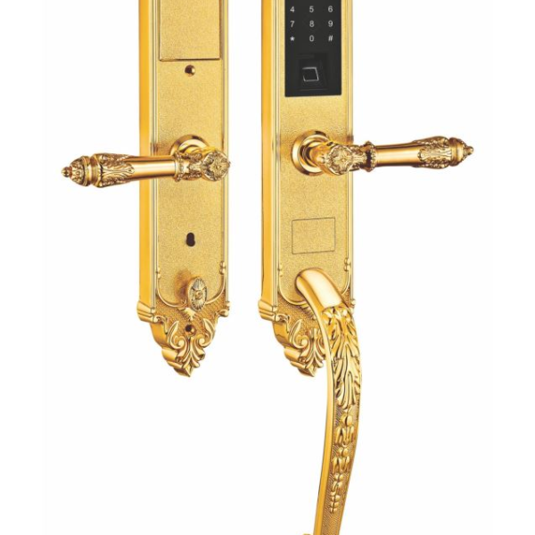 Khóa vân tay đại sảnh Kassler KL-969G