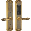 Khóa vân tay đại sảnh Kassler KL-959C