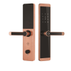 Khóa vân tay Kassler KL-600 COPPER