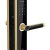 Khóa điện tử Kassler KL-696 APP GOLD