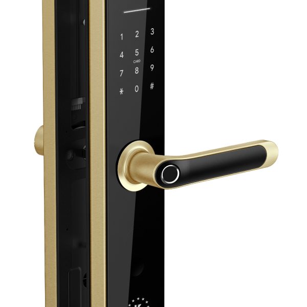 Khóa điện tử Kassler KL-696 APP GOLD