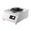 Bếp từ đơn công nghiệp KOCHER CI-3600C tại thành phố Hồ Chí Minh