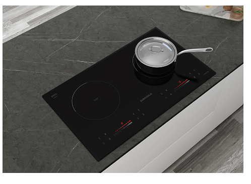 BẾP TỪ EUROGOLG EUH2210