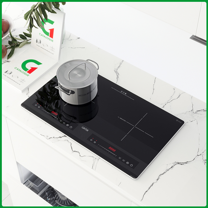 BẾP 2 TỪ TLSC-7343